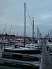 DSC00001_1.jpg